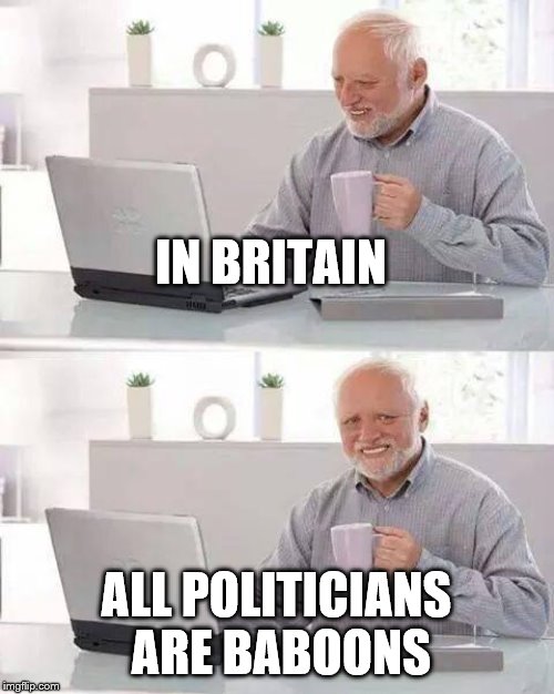 Hide the Pain Harold Meme | IN BRITAIN ALL POLITICIANS ARE BABOONS | image tagged in memes,hide the pain harold | made w/ Imgflip meme maker