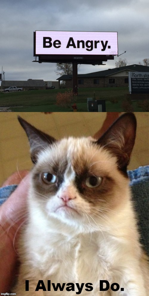 Stupid Signs Week (April 17 - 23) A LordCheesus and DaBoilsMeAvery event | I Always Do. | image tagged in memes,grumpy cat,stupid signs week,angry | made w/ Imgflip meme maker
