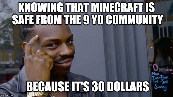Roll Safe Think About It | KNOWING THAT MINECRAFT IS SAFE FROM THE 9 YO COMMUNITY; BECAUSE IT'S 30 DOLLARS | image tagged in memes,roll safe think about it | made w/ Imgflip meme maker
