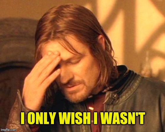Frustrated Boromir | I ONLY WISH I WASN'T | image tagged in frustrated boromir | made w/ Imgflip meme maker