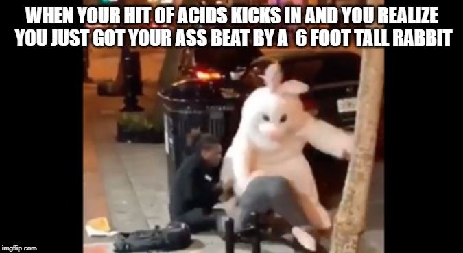 Bunny Beatdown | WHEN YOUR HIT OF ACIDS KICKS IN AND YOU REALIZE YOU JUST GOT YOUR ASS BEAT BY A  6 FOOT TALL RABBIT | image tagged in funny memes | made w/ Imgflip meme maker