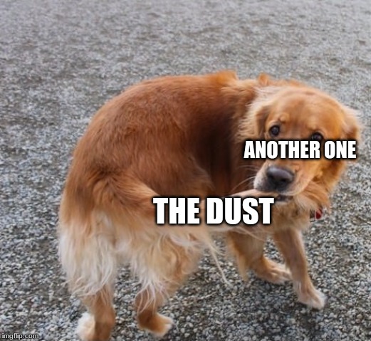 Dog biting tail | ANOTHER ONE; THE DUST | image tagged in dog biting tail | made w/ Imgflip meme maker