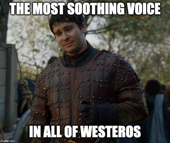 Podrick | THE MOST SOOTHING VOICE; IN ALL OF WESTEROS | image tagged in podrick | made w/ Imgflip meme maker