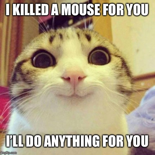 Smiling Cat | I KILLED A MOUSE FOR YOU; I’LL DO ANYTHING FOR YOU | image tagged in memes,smiling cat | made w/ Imgflip meme maker