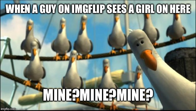 Nemo Seagulls Mine | WHEN A GUY ON IMGFLIP SEES A GIRL ON HERE MINE?MINE?MINE? | image tagged in nemo seagulls mine | made w/ Imgflip meme maker