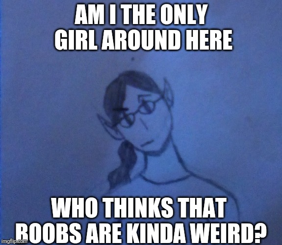 I dunno, they're just... Weird things to have on your chest. They're kinda like chesticles. | AM I THE ONLY GIRL AROUND HERE; WHO THINKS THAT BOOBS ARE KINDA WEIRD? | image tagged in boobs,weird,testicles | made w/ Imgflip meme maker
