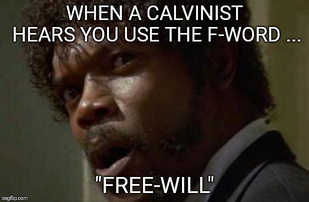 Samuel Jackson Glance Meme | WHEN A CALVINIST HEARS YOU USE THE F-WORD ... "FREE-WILL" | image tagged in memes,samuel jackson glance | made w/ Imgflip meme maker