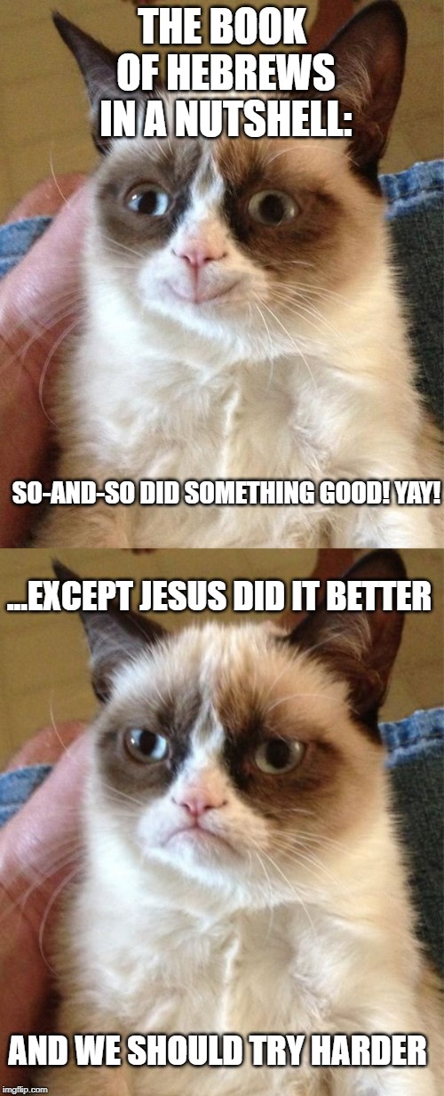 Book of Hebrews in a Nutshell | THE BOOK OF HEBREWS IN A NUTSHELL:; SO-AND-SO DID SOMETHING GOOD! YAY! ...EXCEPT JESUS DID IT BETTER; AND WE SHOULD TRY HARDER | image tagged in memes,grumpy cat,grumpy cat happy | made w/ Imgflip meme maker