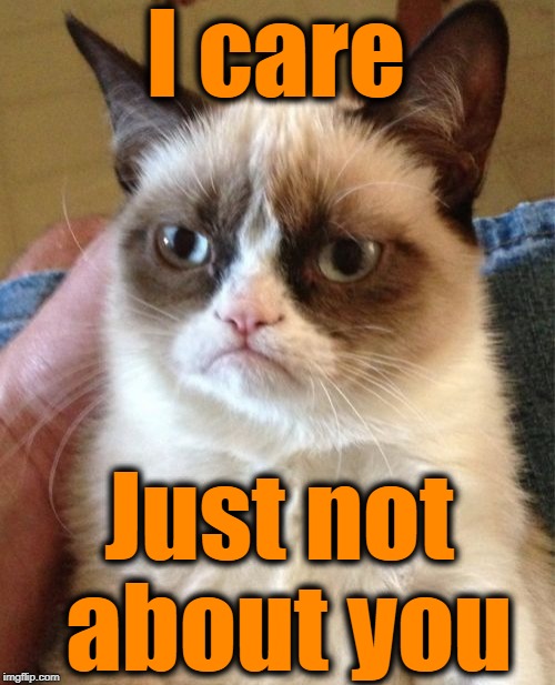 Grumpy Cat Meme | I care Just not about you | image tagged in memes,grumpy cat | made w/ Imgflip meme maker