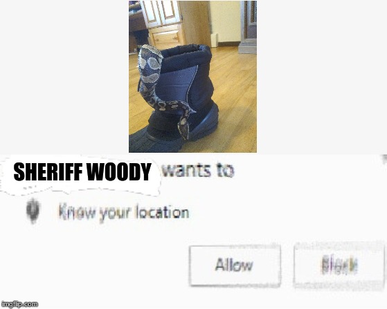 SHERIFF WOODY | image tagged in x wants to know your location | made w/ Imgflip meme maker