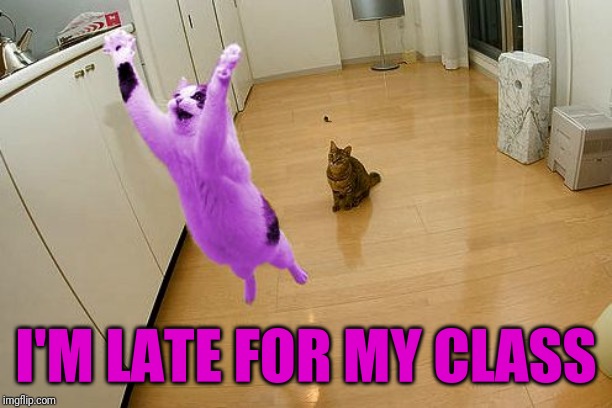 RayCat save the world | I'M LATE FOR MY CLASS | image tagged in raycat save the world | made w/ Imgflip meme maker