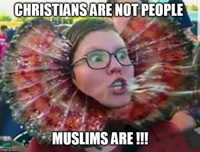 Triggered SJW Dragon | CHRISTIANS ARE NOT PEOPLE; MUSLIMS ARE !!! | image tagged in triggered sjw dragon | made w/ Imgflip meme maker