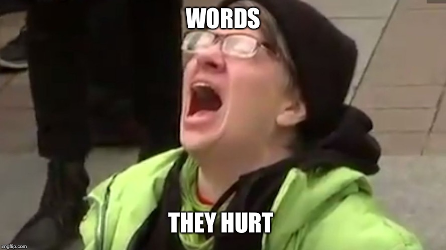 Screaming Liberal  | WORDS; THEY HURT | image tagged in screaming liberal | made w/ Imgflip meme maker