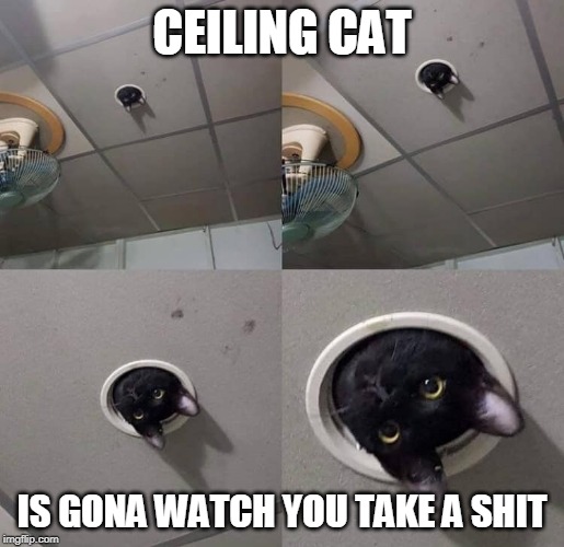 Ceiling Cat Imgflip