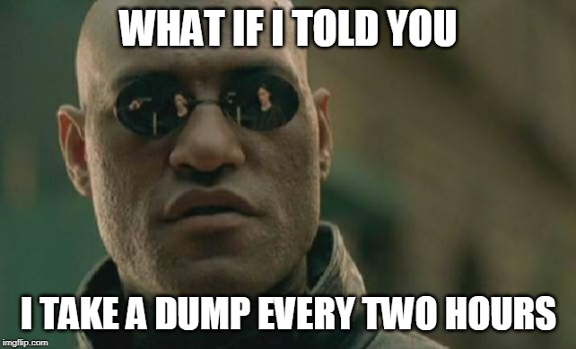 Matrix Morpheus Meme | WHAT IF I TOLD YOU; I TAKE A DUMP EVERY TWO HOURS | image tagged in memes,matrix morpheus | made w/ Imgflip meme maker