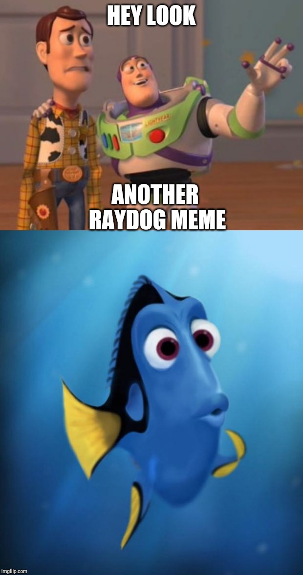  HEY LOOK; ANOTHER RAYDOG MEME | image tagged in x x everywhere,easily distracted | made w/ Imgflip meme maker