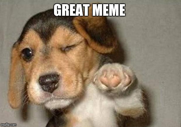 Winking Dog | GREAT MEME | image tagged in winking dog | made w/ Imgflip meme maker