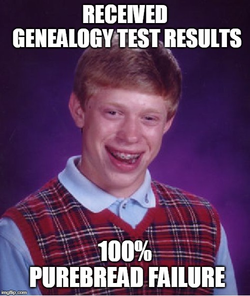 Bad Luck Brian | RECEIVED GENEALOGY TEST RESULTS; 100% PUREBREAD FAILURE | image tagged in memes,bad luck brian | made w/ Imgflip meme maker