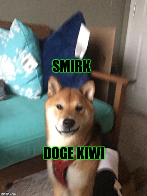 SMIRK; DOGE KIWI | image tagged in shiba inu | made w/ Imgflip meme maker