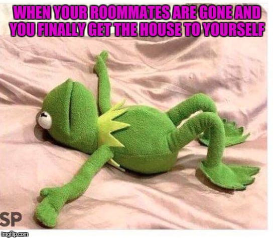 WHEN YOUR ROOMMATES ARE GONE AND YOU FINALLY GET THE HOUSE TO YOURSELF | image tagged in enjoying solitude,kermit | made w/ Imgflip meme maker