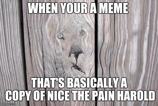 Face In Wood Grain | WHEN YOUR A MEME; THAT'S BASICALLY A COPY OF NICE THE PAIN HAROLD | image tagged in face in wood grain | made w/ Imgflip meme maker