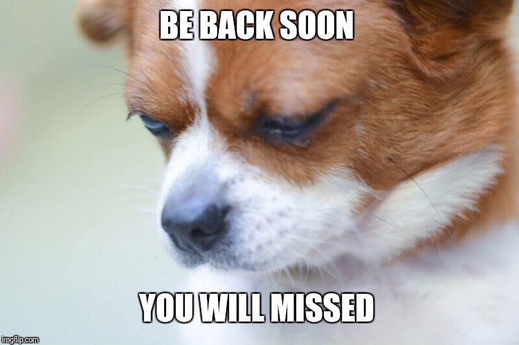 Crying Dog | BE BACK SOON YOU WILL MISSED | image tagged in crying dog | made w/ Imgflip meme maker