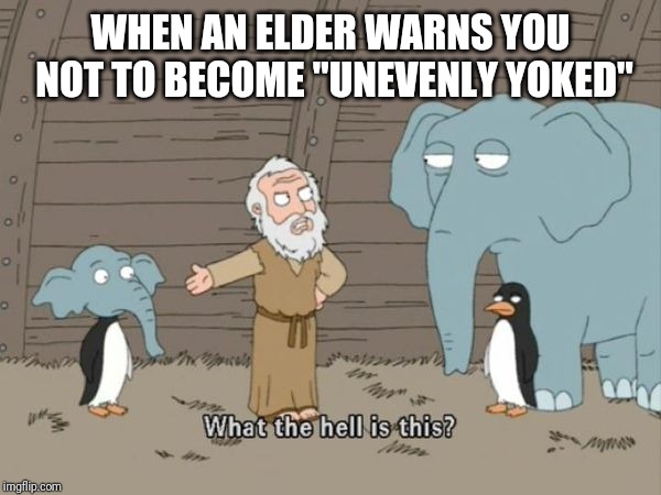 What the hell is this? | WHEN AN ELDER WARNS YOU NOT TO BECOME "UNEVENLY YOKED" | image tagged in what the hell is this,exjw | made w/ Imgflip meme maker