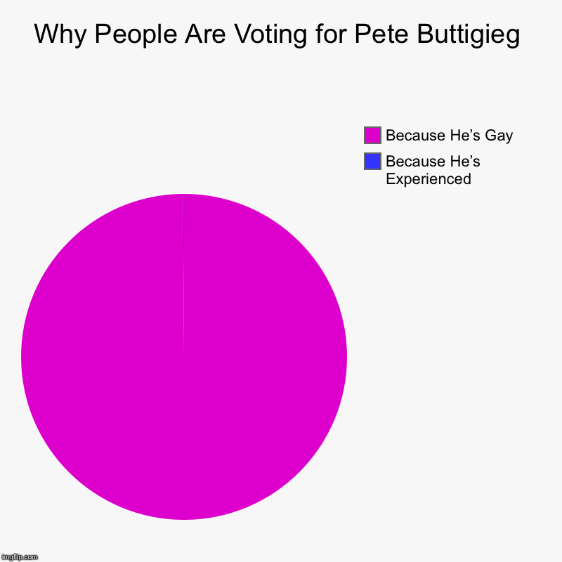 Why People Are Voting for Pete Buttigieg | Because He’s Experienced, Because He’s Gay | image tagged in charts,pie charts | made w/ Imgflip chart maker