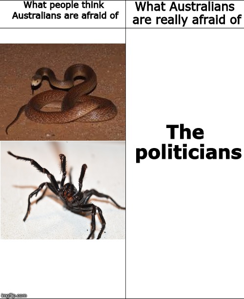 Australia | What people think Australians are afraid of; What Australians are really afraid of; The politicians | image tagged in australia,memes | made w/ Imgflip meme maker