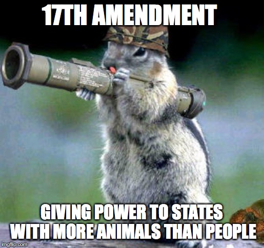 Bazooka Squirrel | 17TH AMENDMENT; GIVING POWER TO STATES WITH MORE ANIMALS THAN PEOPLE | image tagged in memes,bazooka squirrel | made w/ Imgflip meme maker