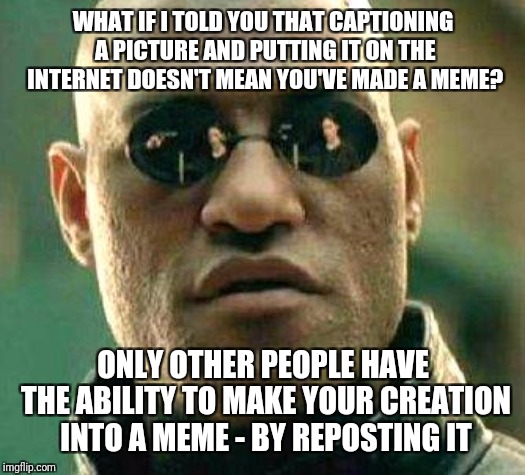 Until something has been reposted,  it hasn't earned the title "meme." Why not take 30 seconds, and Google the definition? | WHAT IF I TOLD YOU THAT CAPTIONING A PICTURE AND PUTTING IT ON THE INTERNET DOESN'T MEAN YOU'VE MADE A MEME? ONLY OTHER PEOPLE HAVE THE ABILITY TO MAKE YOUR CREATION INTO A MEME - BY REPOSTING IT | image tagged in what if i told you,memes,meaning,imgflip,common sense,imgflip unite | made w/ Imgflip meme maker
