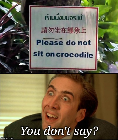 Stupid signs week
:3 | You don't say? | image tagged in you don't say - nicholas cage,you don't say,what the heck,why,whatever,stupid signs week | made w/ Imgflip meme maker