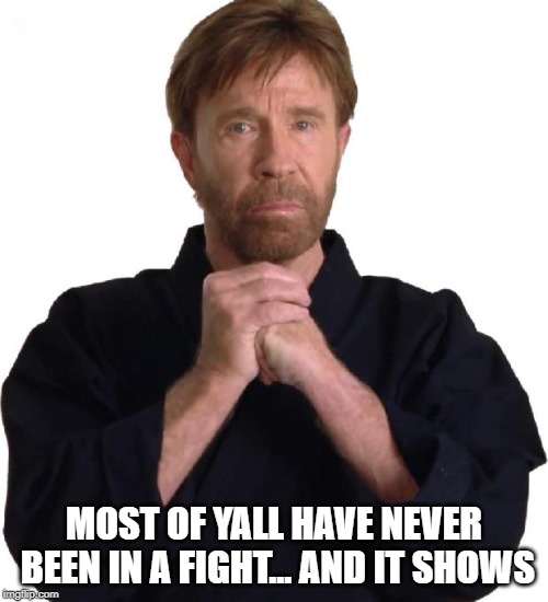 Determined Chuck Norris | MOST OF YALL HAVE NEVER BEEN IN A FIGHT... AND IT SHOWS | image tagged in determined chuck norris | made w/ Imgflip meme maker