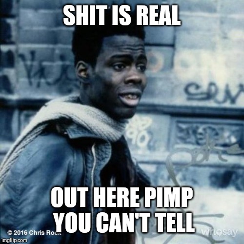 Chris Rock New Jack City | SHIT IS REAL; OUT HERE PIMP YOU CAN'T TELL | image tagged in chris rock new jack city | made w/ Imgflip meme maker