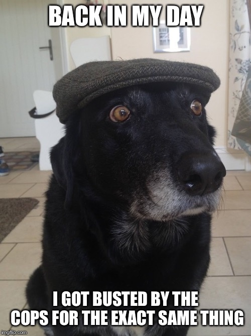 Back In My Day Dog | BACK IN MY DAY I GOT BUSTED BY THE COPS FOR THE EXACT SAME THING | image tagged in back in my day dog | made w/ Imgflip meme maker