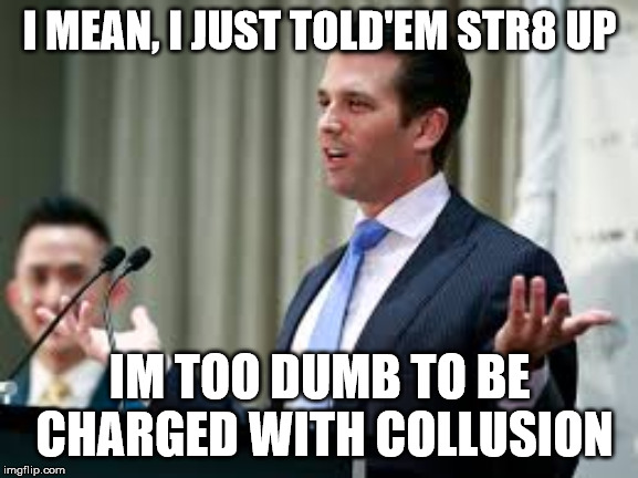 Donald Jr. | I MEAN, I JUST TOLD'EM STR8 UP; IM TOO DUMB TO BE CHARGED WITH COLLUSION | image tagged in donald jr | made w/ Imgflip meme maker