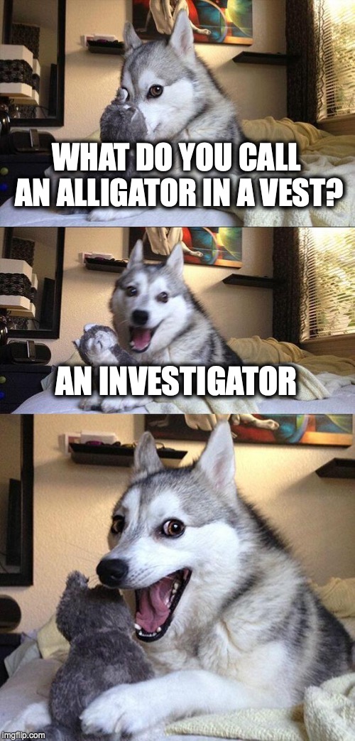 Bad Pun Dog | WHAT DO YOU CALL AN ALLIGATOR IN A VEST? AN INVESTIGATOR | image tagged in memes,bad pun dog | made w/ Imgflip meme maker