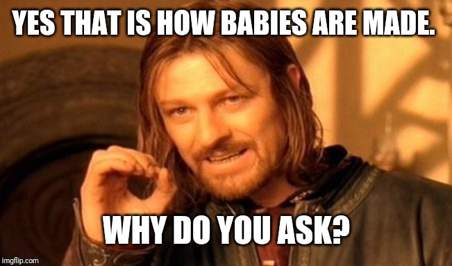 One Does Not Simply Meme | YES THAT IS HOW BABIES ARE MADE. WHY DO YOU ASK? | image tagged in memes,one does not simply,funny,lotr | made w/ Imgflip meme maker