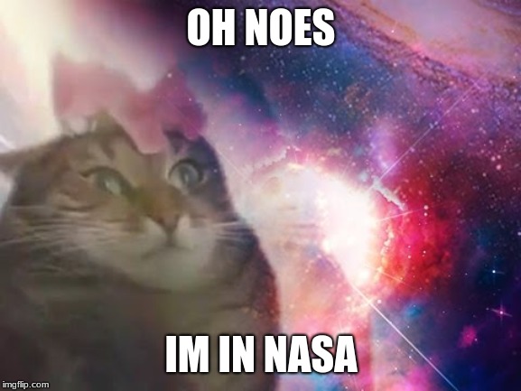 Oh noses | OH NOES; IM IN NASA | image tagged in grumpy cat | made w/ Imgflip meme maker