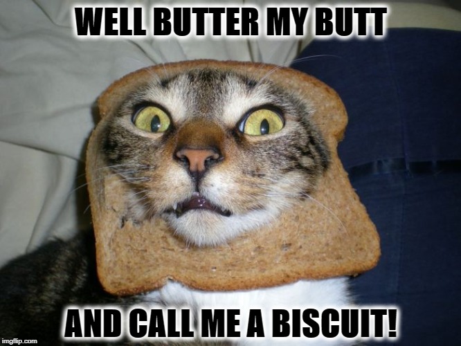 BUTTER MY BUTT | WELL BUTTER MY BUTT; AND CALL ME A BISCUIT! | image tagged in butter my butt | made w/ Imgflip meme maker