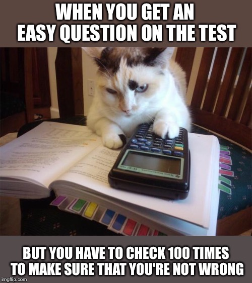 Calculator, what's 10 x 10? |  WHEN YOU GET AN EASY QUESTION ON THE TEST; BUT YOU HAVE TO CHECK 100 TIMES TO MAKE SURE THAT YOU'RE NOT WRONG | image tagged in math cat,test,school,calculator | made w/ Imgflip meme maker