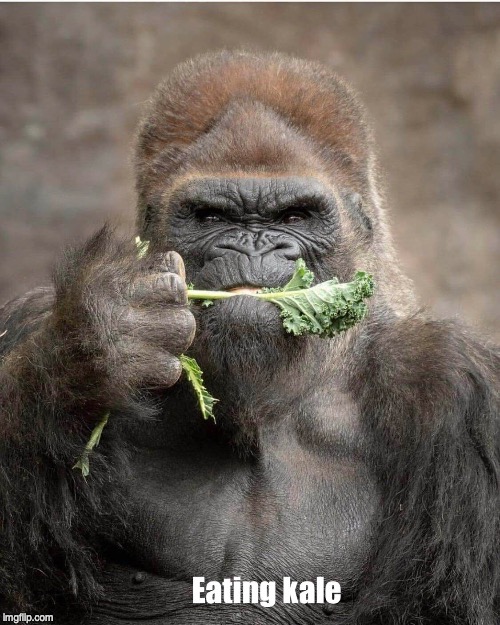 image tagged in gorilla,harambe,kale,vegan | made w/ Imgflip meme maker
