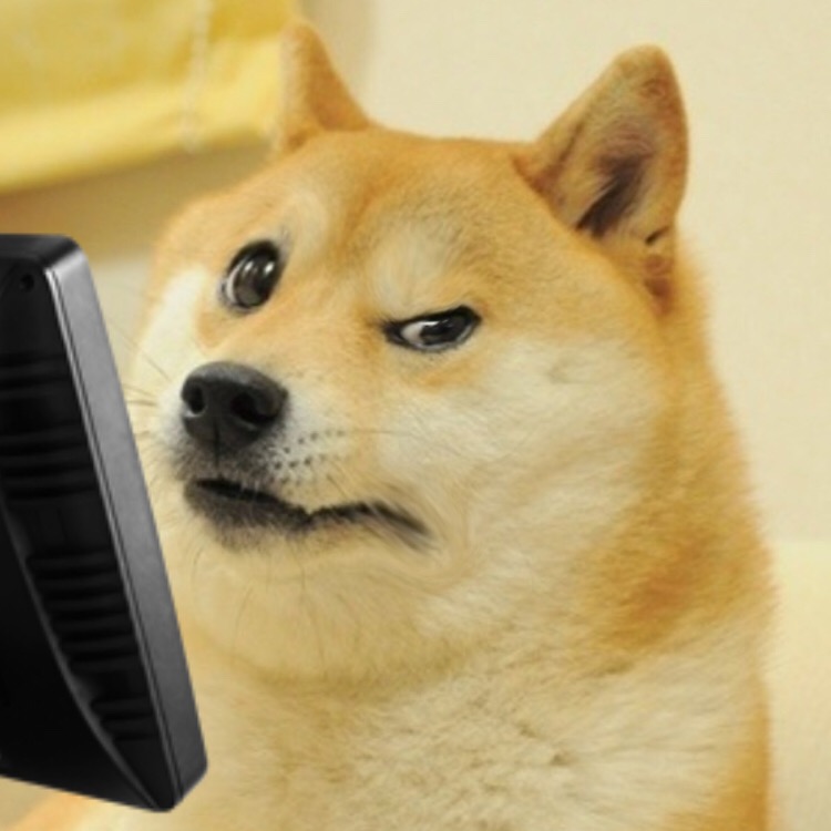 High Quality Concerned doge computer Blank Meme Template
