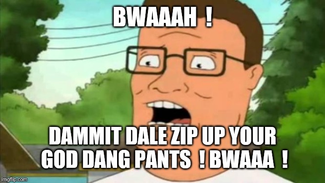 Hank hill | BWAAAH  ! DAMMIT DALE ZIP UP YOUR GOD DANG PANTS  ! BWAAA  ! | image tagged in hank hill | made w/ Imgflip meme maker