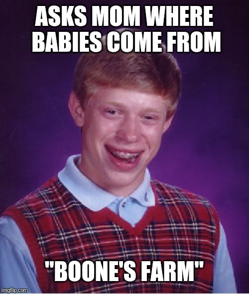 Bad Luck Brian Meme | ASKS MOM WHERE BABIES COME FROM; "BOONE'S FARM" | image tagged in memes,bad luck brian | made w/ Imgflip meme maker