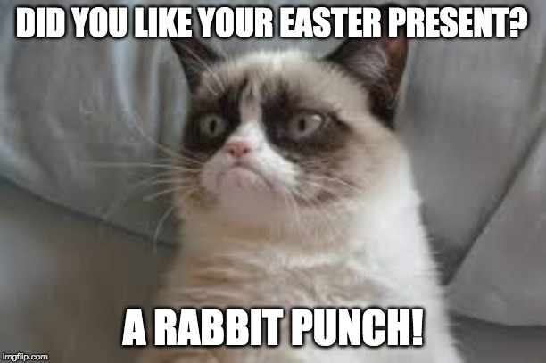 ★·.·´¯`·.·★ ⓟⓞⓦ ★·.·´¯`·.·★ | DID YOU LIKE YOUR EASTER PRESENT? A RABBIT PUNCH! | image tagged in grumpy cat | made w/ Imgflip meme maker