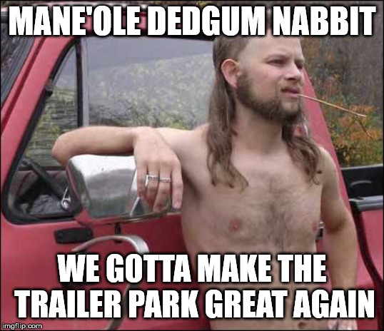 Make the Trailer Park Great Again | MANE'OLE DEDGUM NABBIT; WE GOTTA MAKE THE TRAILER PARK GREAT AGAIN | image tagged in donald trump,president trump,marijuana,trailer park boys,funny memes,political meme | made w/ Imgflip meme maker