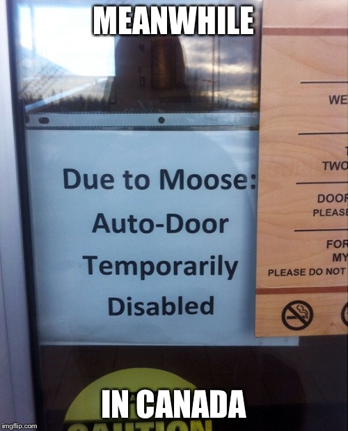A moose is loose in the caboose | MEANWHILE; IN CANADA | image tagged in funny sign | made w/ Imgflip meme maker