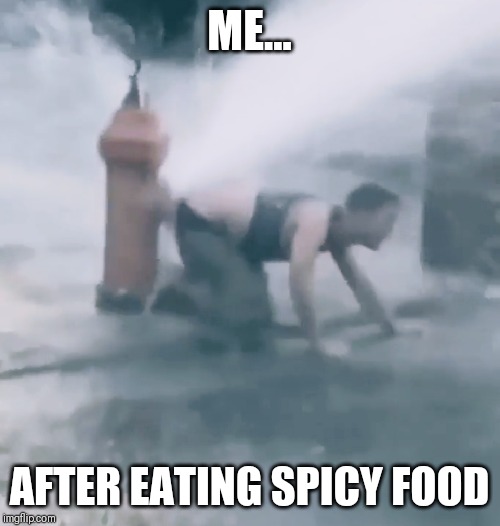 Totally worth it. | ME... AFTER EATING SPICY FOOD | image tagged in spicy,food,butthurt,sting,funny because it's true | made w/ Imgflip meme maker