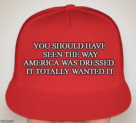 Trump Hat | YOU SHOULD HAVE SEEN THE WAY AMERICA WAS DRESSED.  IT TOTALLY WANTED IT. | image tagged in trump hat | made w/ Imgflip meme maker